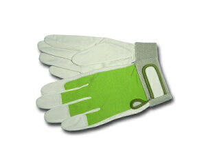 dCHmZ\΍iÉEHEpiOaƗp܁@|ijTT-22