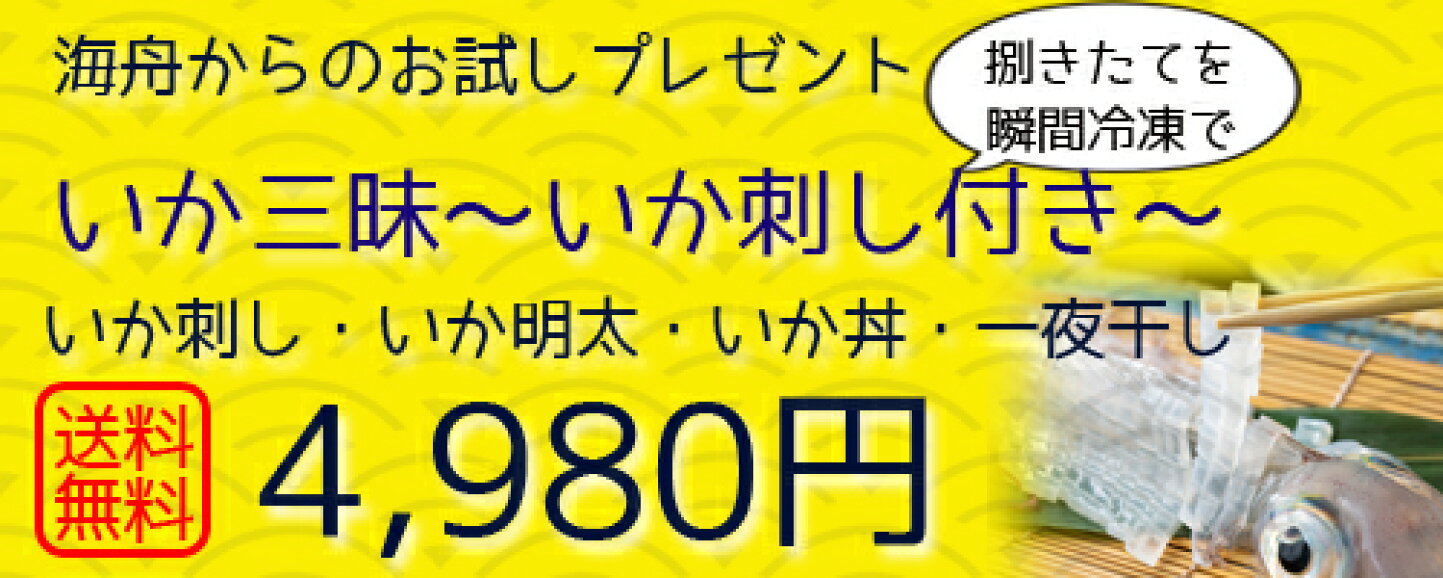 選択 イカ 呼子のイカ お得な4点セット いかの活き造り 中 いか丼 イカ刺し明太 イカの一夜干し blaccoded.com