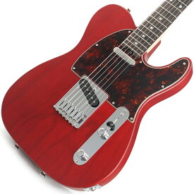 SCHECTER IKEBE ORDER Progauge Series PS-TE-IK (Red Tint/Rosewood) 【特価】