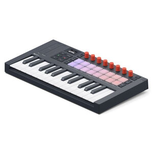Flkey 2 Mini 25 �y�\�񏤕i�E6����{�����\��z (�m�x�[�V����)(�G�t�G���X�^�W�I)(FL�X�^�W�I)(�G�t�G���L�[)(MIDI�R���g���[���[)(�~�j����) NOVATION (�V�i)