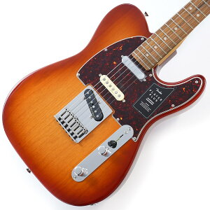 Player Plus Nashville Telecaster (Sienna Sunburst/Pau Ferro) [Made In Mexico] Fender MEX (Vi)