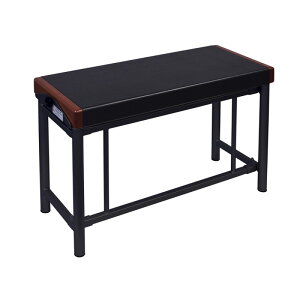 BCH-250XK HAMMOND (Vi)