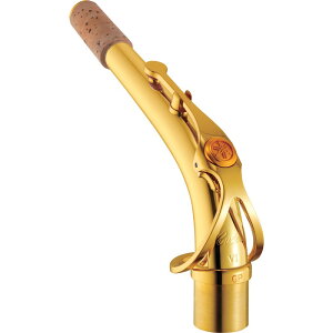 AgTbNXp lbN }n AV1GP YAMAHA (Vi)