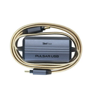 Pulsar USB (1.0m)(�T�C�����g�p���[)(USB�R���f�B�V���i�[)(�A�N�e�B�uUSB�P�[�u��)(�m�C�Y�t�B���^�[)(USB-C to C)(10Gbps)(�z�[���I�[�f�B�I)(DTM)(SLP-PULSAR-USB) Silent Power (�V�i)