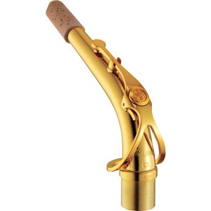 AgTbNXplbN }n AC1GP YAMAHA (Vi)