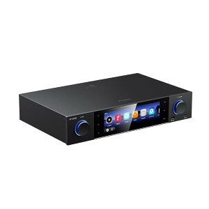 S15 Black (�u���b�N)(�t�B�[�I)(���y�X�g���[�}�[)(DAC)(�z�[���I�[�f�B�I)(FIO-S15-B) FiiO (�V�i)