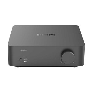 Vibelink Amp Space Gray (�X�y�[�X�O���[)(�E�B�[��)(DAC)(�v�����C���A���v)(�p���[�A���v)(�z�[���I�[�f�B�I)(WIM-WVLAMP-SG) WiiM (�V�i)