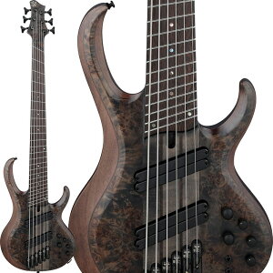 Bass Workshop BTB806MS-TGF [SPOT MODEL] Ibanez (�V�i)