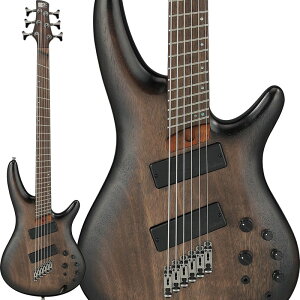 zB Bass Workshop SRC6MS-BLL Ibanez (Vi)