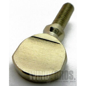 oY TbNXplbN~߃lW [Z}[p]yubNtCf[Z[z buzz (Vi)