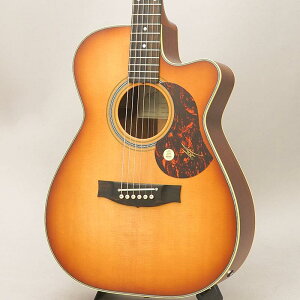 EBG808C NASHVILLE ���C�g�� MATON (�V�i)