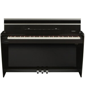 VIVO H10 Black Polished (ʓrς/s) DEXIBELL (Vi)