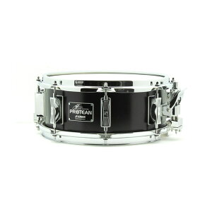 SSD-1205GHPE [Gavin Harrison Protean Signature snare / 12inch Premium Edition] SONOR (Vi)