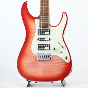 SD-2-24-AL-VTR-FM (RDSB/RM) [SPOT MODEL] SCHECTER (Vi)