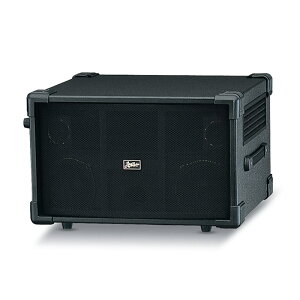 2101 mk2 X[Xs[J[͂p܂B Leslie (Vi)