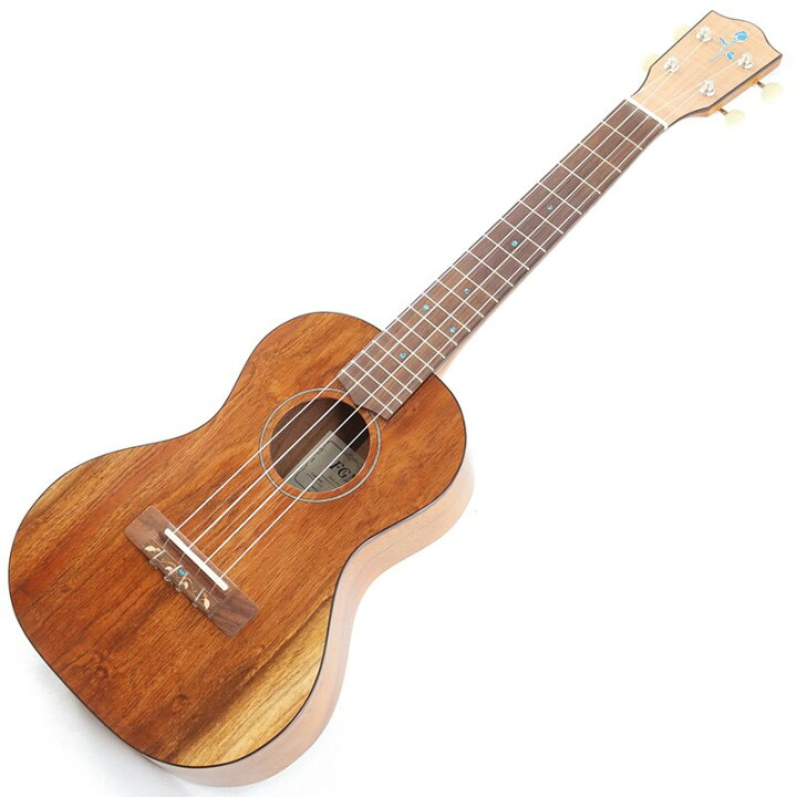 楽天市場】FGN Acoustic Tenor FUS-TT フジゲン FUJIGEN (新品 