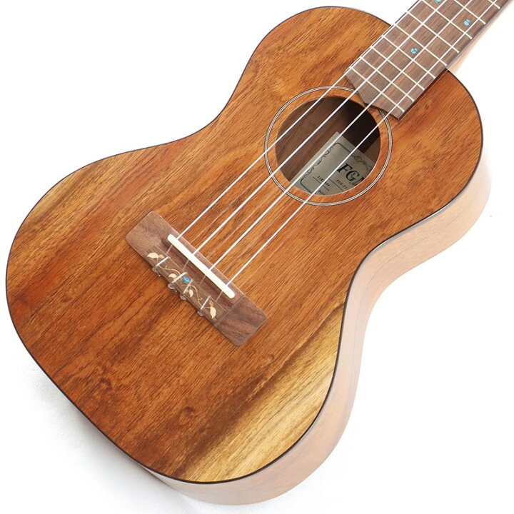 楽天市場】FGN Acoustic Tenor FUS-TT フジゲン FUJIGEN (新品 