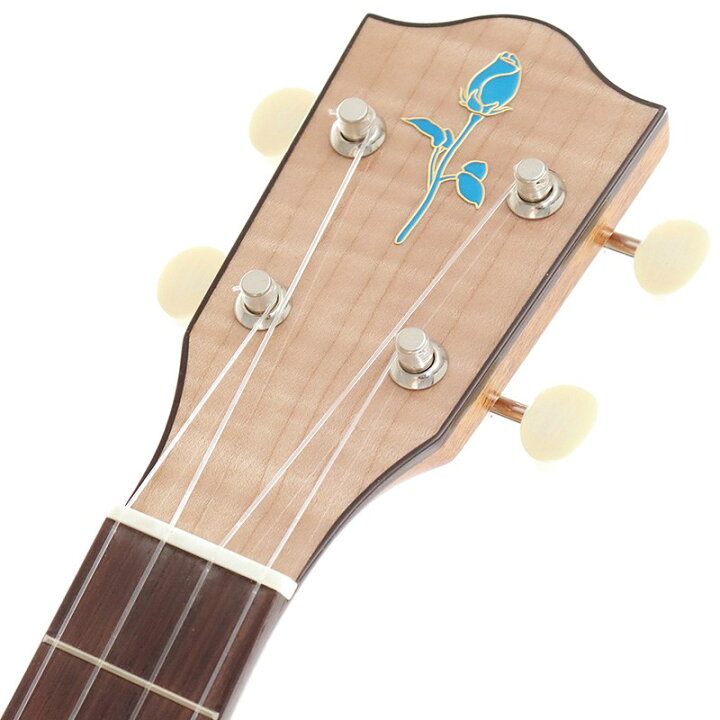 楽天市場】FGN Acoustic Tenor FUS-TT フジゲン FUJIGEN (新品 
