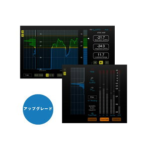 VisLM-H 2 Upgrade from VisLM-H(����s��)(�I�����C���[�i) Nugen Audio (�V�i)