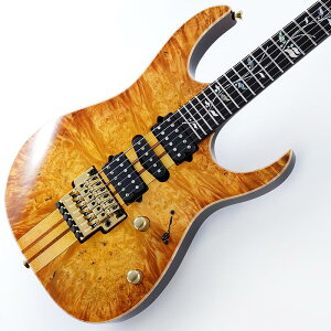 VISIONS IV1RG SN.H25304 Ibanez (�V�i)