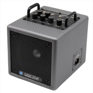 NANOBASS X4 (Carbon Silver) PJBiPhil Jones Bassj (Vi)