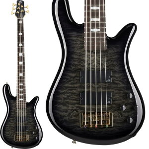 �y���ב҂��A���\���t���z NS ICON Bolt-on 5 (Black Stain Gloss) SPECTOR (�V�i)