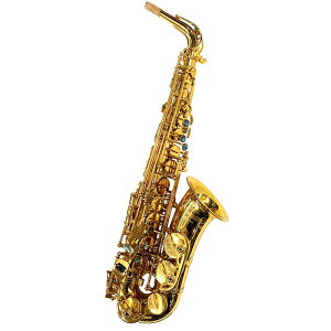 AgTbNX uXpCA[EjR[ BPA1-GL y&ZbgAbvoׁzy5NԃL[oXzyNX}XZ[z Brasspire Unicorn (Vi)