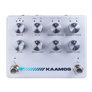KAAMOS Darkglass Electronics (�V�i)