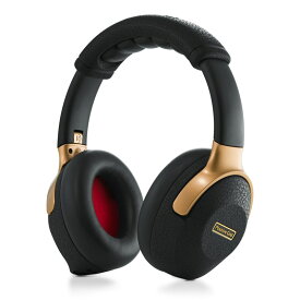 翌日配達 Spark NEO（ポジティブ ポジティヴ グリッド） Positive Grid (新品)