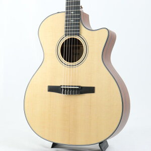 314ce-Nylon (GKbgf) eC[ TAYLOR (Vi)