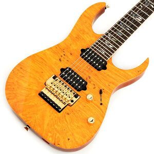 Ikebe 50th Anniversary j.custom IKRG85271 (Burl Maple Top) SN.F2506459 Ibanez (Vi)