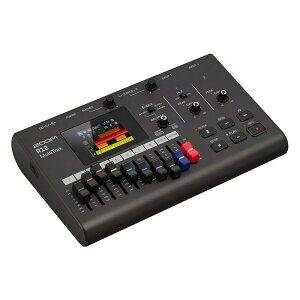 R12 MultiTrak ZOOM (Vi)