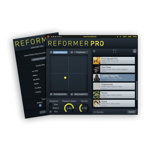 Reformer Pro (Full License)(����s��)(�I�����C���[�i) Krotos (�V�i)