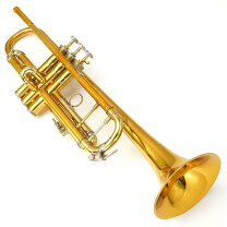 楽天市場】bach stradivariusの通販