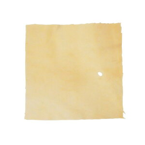 G]WJZ[vNX HCL-100S HOSCO (Vi)