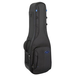 RBC232E Double Electric Guitar Case GLM^[2{[pP[X Reunion Blues (Vi)