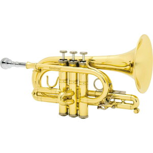 �L�������u���X / N4000 CL �yC �|�P�b�g �g�����y�b�g�z�y�o�בO�����ň��S�z CAROL BRASS (�V�i)