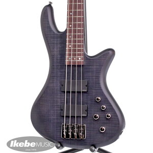 STILETTO STUDIO 4 [AD-SL-ST4] (See-thru Black Satin) SCHECTER (�V�i)