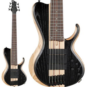 Bass Workshop BTB866SC-WKL Ibanez (Vi)