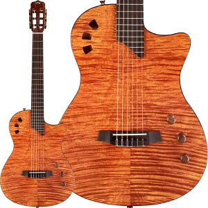 STAGE GUITAR (Natural Amber) Rho Cordoba (Vi)