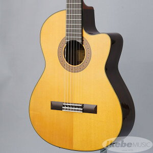 CE-1D KC K.Yairi (Vi)