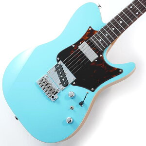 TQMS1-CTB [Tom Quayle Signature Model] Ibanez (Vi)