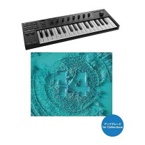 楽天市場】ネイティブインストゥルメンツkomplete kontrol m32 midi 