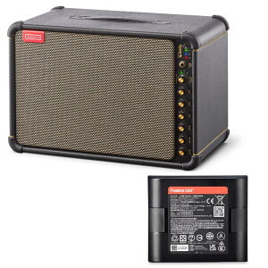 Spark LIVE �ySpark Battery �Z�b�g�z�i�|�W�e�B�u �|�W�e�B�� �O���b�h�j Positive Grid (�V�i)