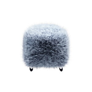 WS-86(Portacapture/DRV[YpEBhXN[) TASCAM (Vi)