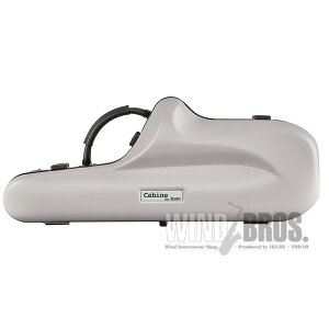 AgTbNXpP[X o LriCABINEj CgO[ 4011SGC BAM (Vi)