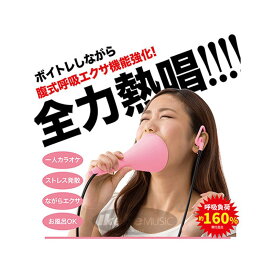 あす楽 【デジタル楽器特価祭り】UTAET EX＋ ウタエット イーエックスプラス UTAET (新品)