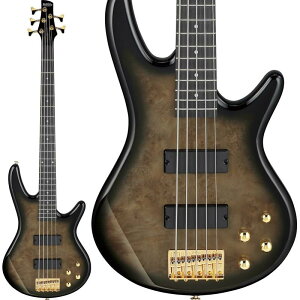 GSR205PC-TPB [SPOT MODEL] �y�����z Ibanez (�A�E�g���b�g ���i)