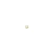 バック / 純正 ストッパーネジ 180 / AB190 トランペット用 SP (P26-52SP) Bach (新品)