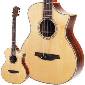 BAR5CE �u���� Bromo Guitars (�V�i)